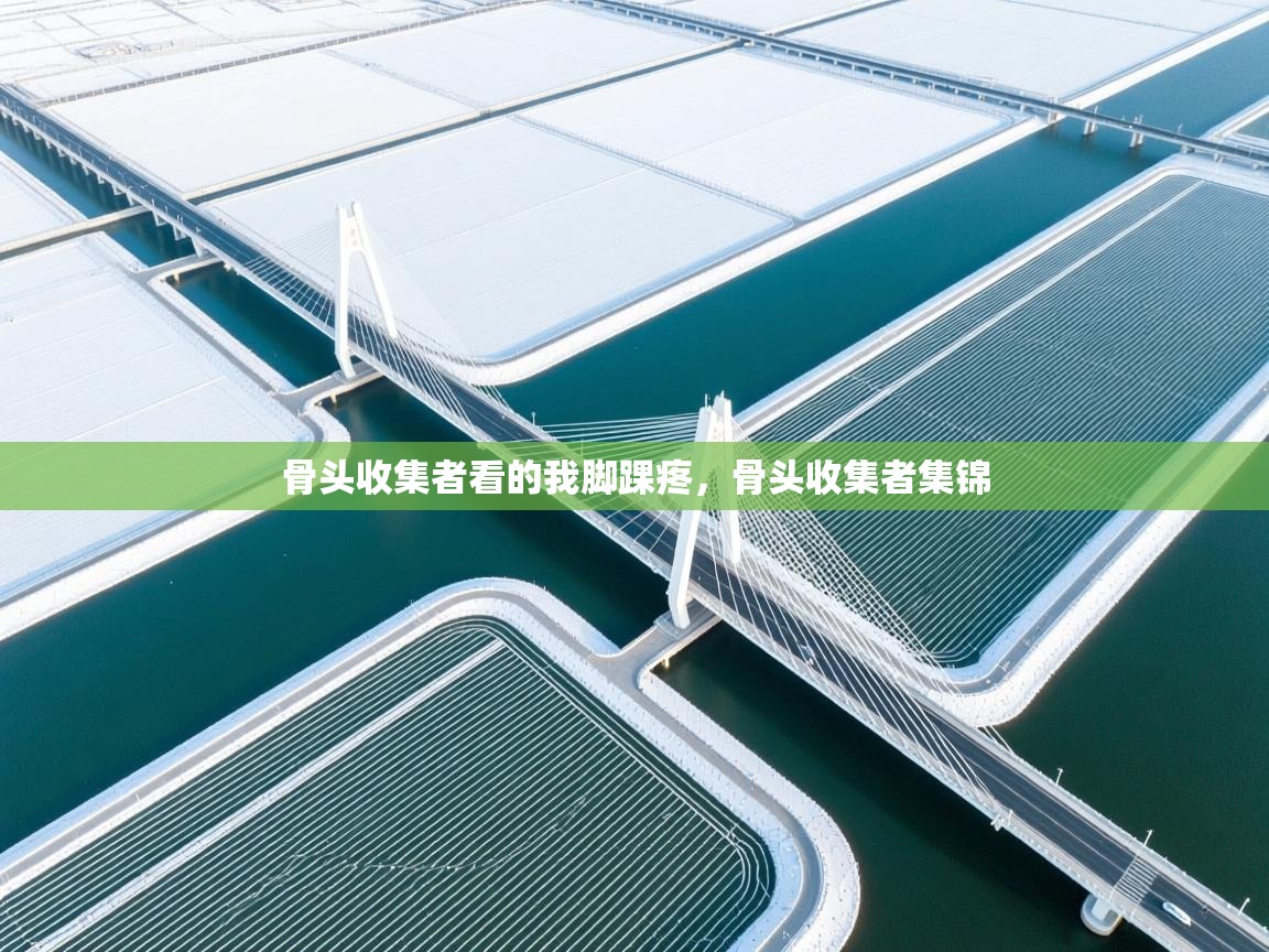 开云体育注册下载-骨头收集者看的我脚踝疼，骨头收集者集锦