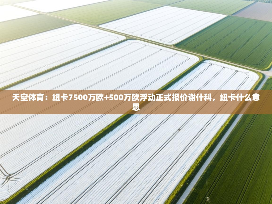 开云体育注册下载-天空体育：纽卡7500万欧+500万欧浮动正式报价谢什科，纽卡什么意思