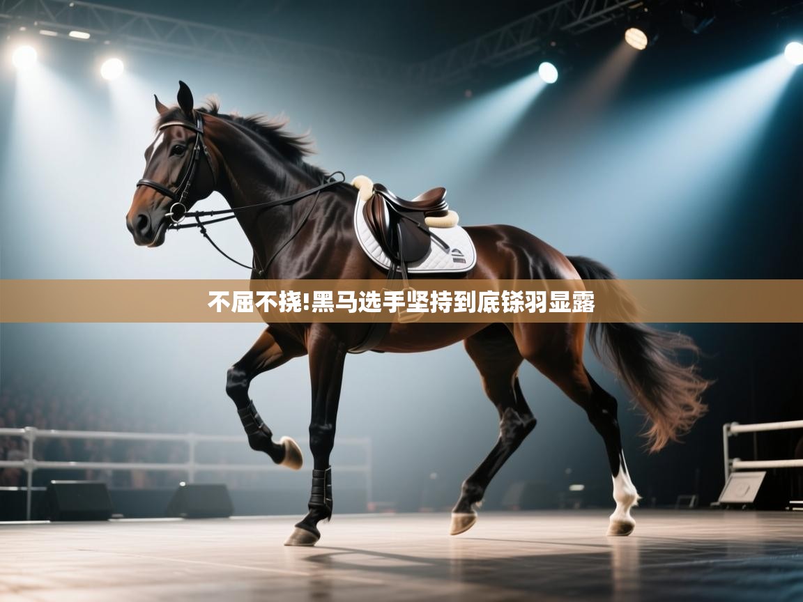 开云体育入口下载-不屈不挠!黑马选手坚持到底铩羽显露